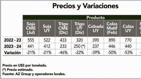 imagen de Ciclo agrícola 2023/24 inicia con una fuerte caída de precios de los granos, fertilizantes y agroquímicos