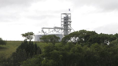 El sector de farináceos y oleaginoso, preocupado por la rebaja de aranceles para productos argentinos. Foto: Nicolás Der Agopián / Búsqueda