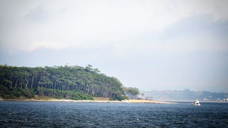 imagen de Ocupaciones en terrenos costeros preocupa a las autoridades de Maldonado, que critican la falta de acción de la Policía y la Justicia
