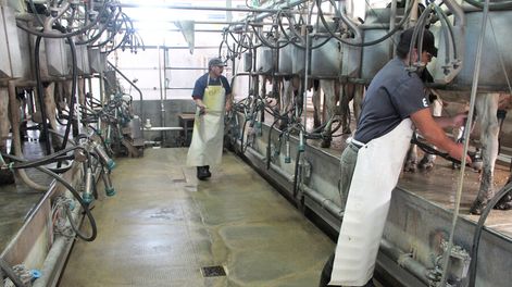 imagen de Tamberos retiraron su “confianza política” al titular del Inale, quien dijo que estuvo años “sin cobrar un peso” de sueldo