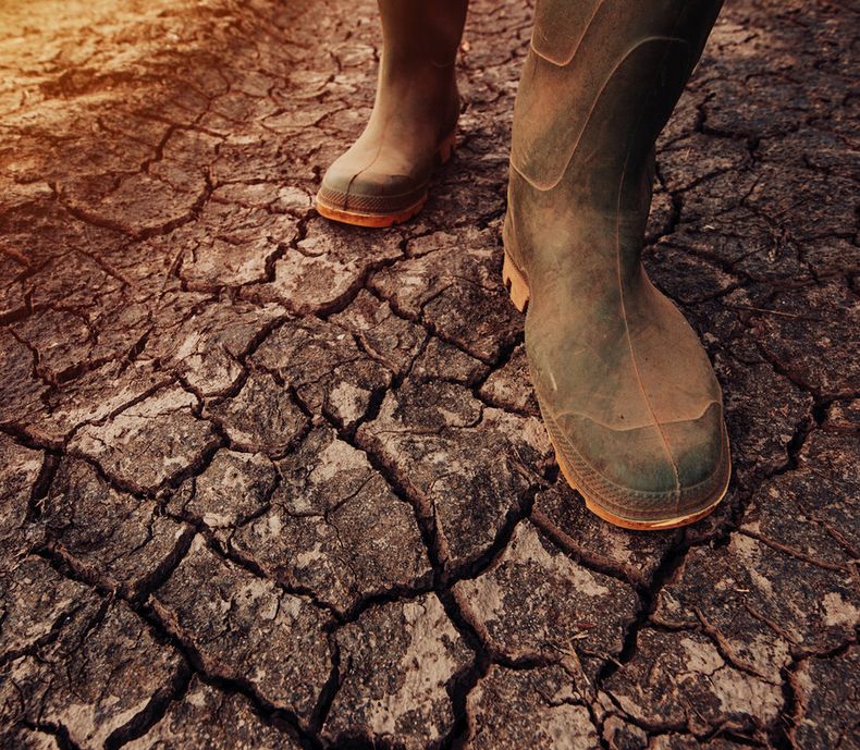 El MGAP estimó el impacto directo de la sequía en US$ 1.867 millones. Foto: Revista Verde