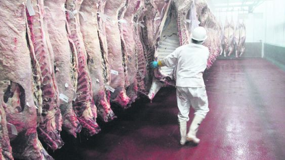 imagen de Sector cárnico advierte avidez china y explora Japón; integrante del Inac dijo que “sería bárbaro” fijar precios por el ganado imagen de Sector cárnico advierte avidez china y explora Japón; integrante del Inac dijo que “sería bárbaro” fijar precios por el ganado