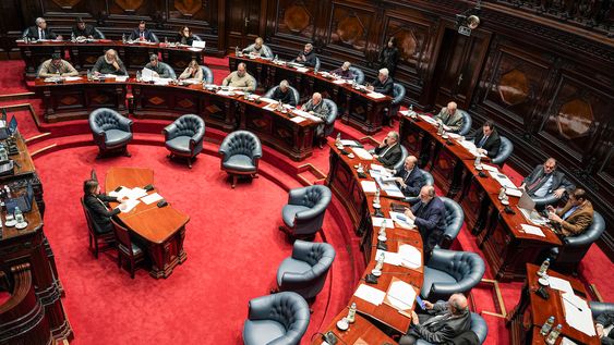 Tratamiento del proyecto de ley de financiamiento de partidos políticos en el Senado, en mayo de 2024 Tratamiento del proyecto de ley de financiamiento de partidos políticos en el Senado, en mayo de 2024