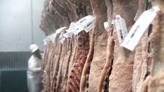 Un análisis académico analizó el impacto de las ventas de carne a China Un análisis académico analizó el impacto de las ventas de carne a China