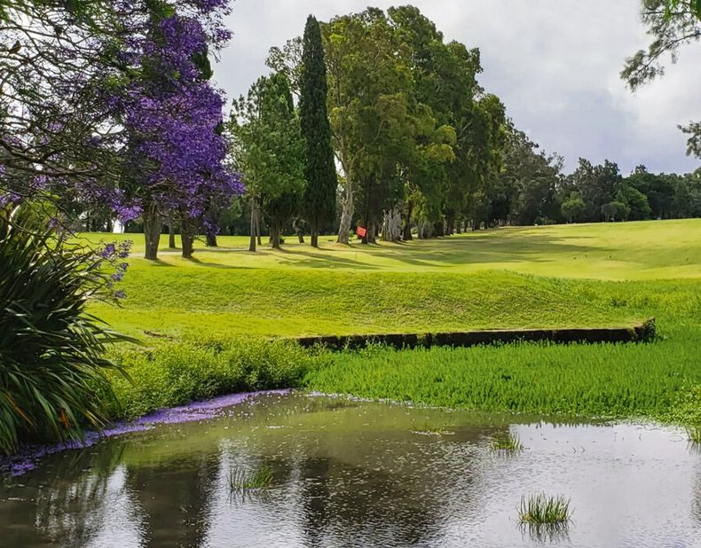 imagen de Intentando revitalizar el Club de Golf del Cerro, un ambicioso  proyecto busca convertirlo en la primera cancha pública del país