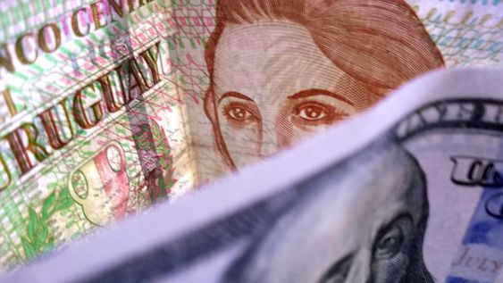 Dólares y pesos uruguayos.