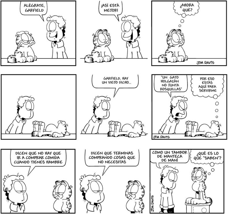 imagen de Garfield