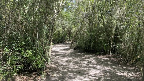 Búsqueda | La comuna pretende convertirla en una “estación biológica” para preservar su diversidad. Foto: Intendencia de Rocha
