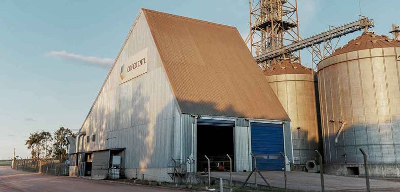 “Cofco registró una participación del 25,7%” del total de soja exportada desde Uruguay en el ciclo 2024-2025.