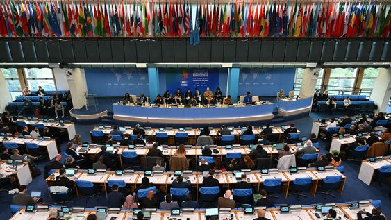 Una vista general muestra a los delegados en la sala plenaria durante la conferencia sobre biodiversidad COP16 en Roma, el 25 de febrero de 2025. Una vista general muestra a los delegados en la sala plenaria durante la conferencia sobre biodiversidad COP16 en Roma, el 25 de febrero de 2025.