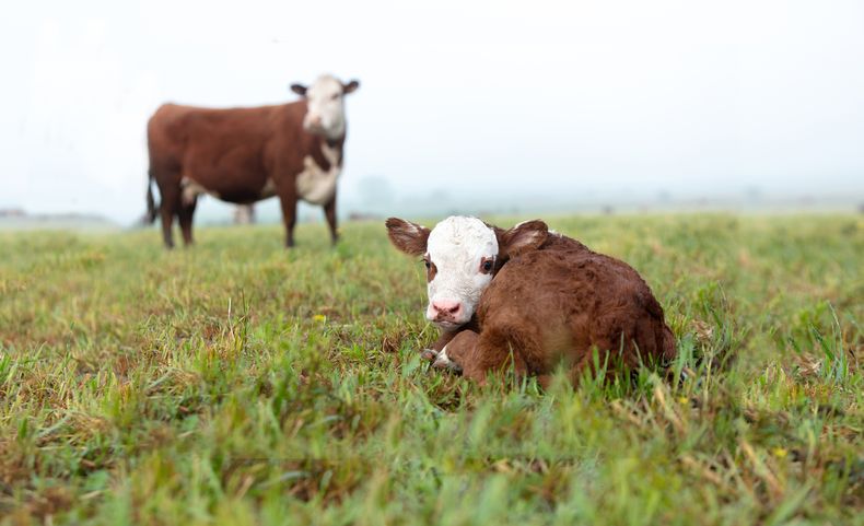 Las señales de precios apuntan a que esa cifra de 3 millones, que antes era un techo, se ha convertido en un piso productivo.