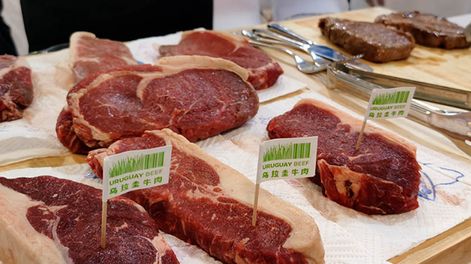 Uruguay: proteína animal para el mundo