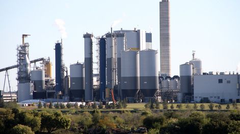 imagen de Departamentos centrales del país que aportan poco más de 3% al PBI, se esperanzan con recibir una megainversión de UPM