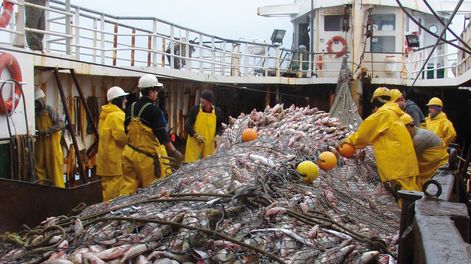 Unos 50 barcos realizan pesca industrial