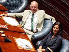 Los diputados de Identidad Soberana, Gustavo y Nicolle Salle. Los diputados de Identidad Soberana, Gustavo y Nicolle Salle.