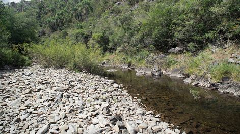 Monte indígena Quebrada de los Cuervos. Foto: Ricardo Antúnez / adhocFOTOS