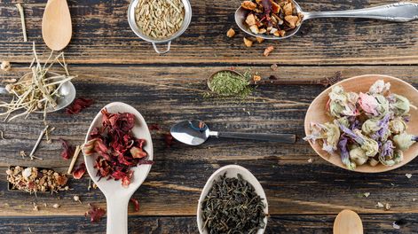 Un taller para volver al ritmo natural a través de la medicina de las plantas