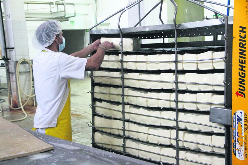 imagen de Investigación logra que Uruguay incursione en la producción, única en Latinoamérica, de un insumo fundamental para elaborar quesos