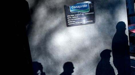 Conaprole insiste en su reclamo contra el Estado uruguayo, intentando cobrar la deuda de Venezuela. Foto: Javier Calvelo, adhocFOTOS