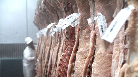 Estados Unidos pasó a ser el segundo principal destino de las exportaciones de carne uruguaya este año. Foto: Nicolás Der Agopián