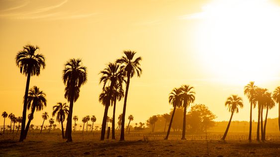 empresarios lideres de las fintechs invirtieron en campos en uruguay empresarios lideres de las fintechs invirtieron en campos en uruguay