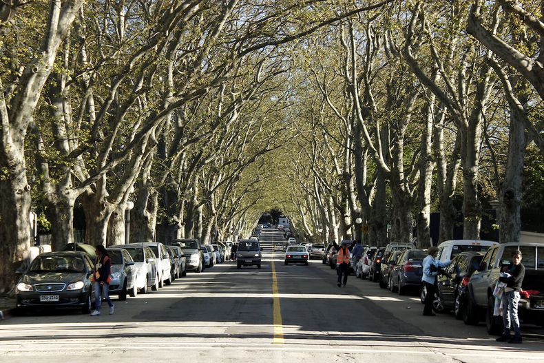 Barrio Prado de Montevideo, sobre la calle 19 de abril.
