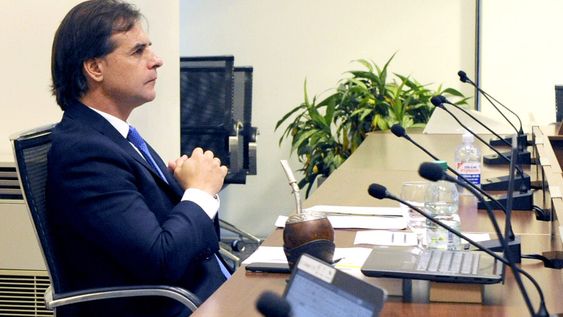 Luis Lacalle Pou en videoconferencia. Foto: Presidencia. Luis Lacalle Pou en videoconferencia. Foto: Presidencia.