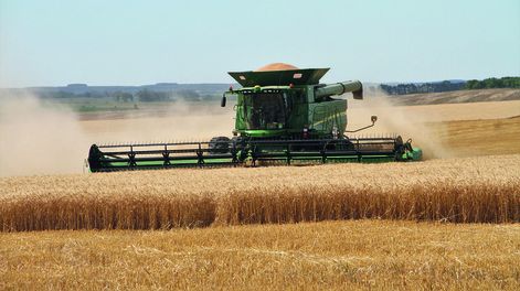 imagen de Con buenos resultados con el trigo y la cebada, los productores esperan las lluvias para poder acelerar la siembra de soja