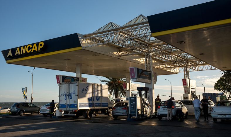 Se venía verificando un “alto cumplimiento” del reglamento anulado por el TCA&nbsp; de parte de los sellos mayoristas y las estaciones de servicio