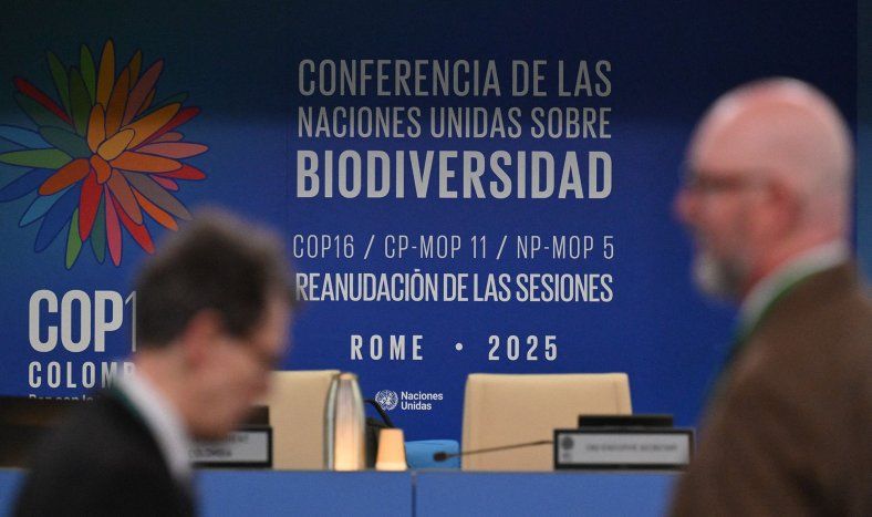 Los delegados llegan a la sala plenaria para asistir a la conferencia sobre biodiversidad COP16 en la sede de la FAO en Roma, el 25 de febrero de 2025.