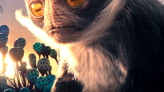 Bichos posibles Bichos posibles