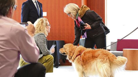 Claudia Goldin, en una conferencia en Harvard esta semana, tras ser anunciada como ganadora del Premio Nobel de Economía. Foto: AFP, Lauren Owens Lambert
