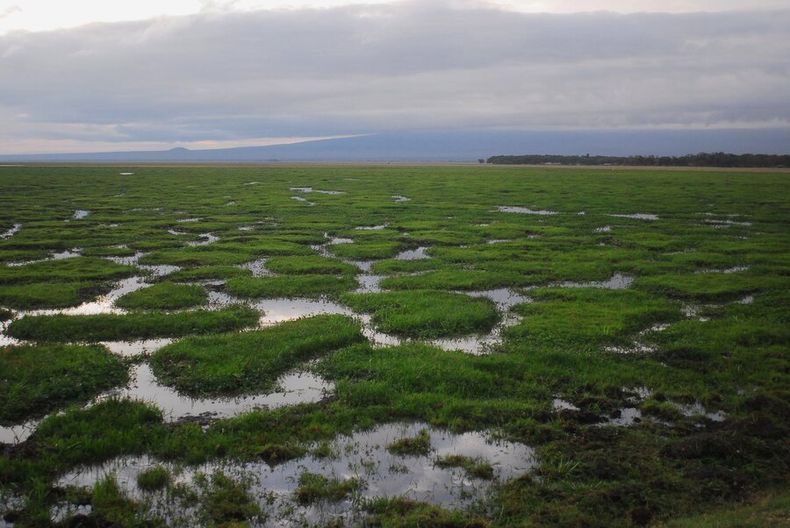 imagen de A Uruguay “le calza muy bien” el impulso internacional de sumar al sector privado y la sociedad civil al combate del cambio climático