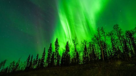 Búsqueda | Alaska auroras AFP