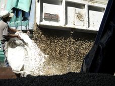 Trabajos de carga de granos en el puerto de Montevideo. Foto: Javier Calvelo / adhocFOTOS Trabajos de carga de granos en el puerto de Montevideo. Foto: Javier Calvelo / adhocFOTOS