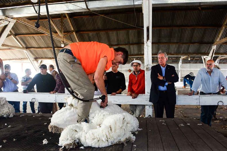 El ministro de Ganadería, Fernando Mattos, en el lanzamiento de la Zafra Ovina 2024, la semana pasada en Paysandú