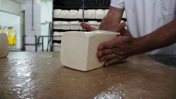 Hoy la producción agroecológica ocupa una porción minoritaria en Uruguay. Foto: Nicolás Der Agopián / Búsqueda Hoy la producción agroecológica ocupa una porción minoritaria en Uruguay. Foto: Nicolás Der Agopián / Búsqueda