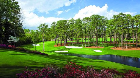 imagen de Los cuatro Majors sobresalen en la agenda del golf profesional