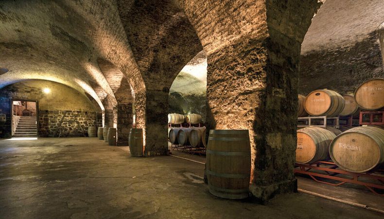 imagen de ¿Es albariño una variedad de clase mundial?