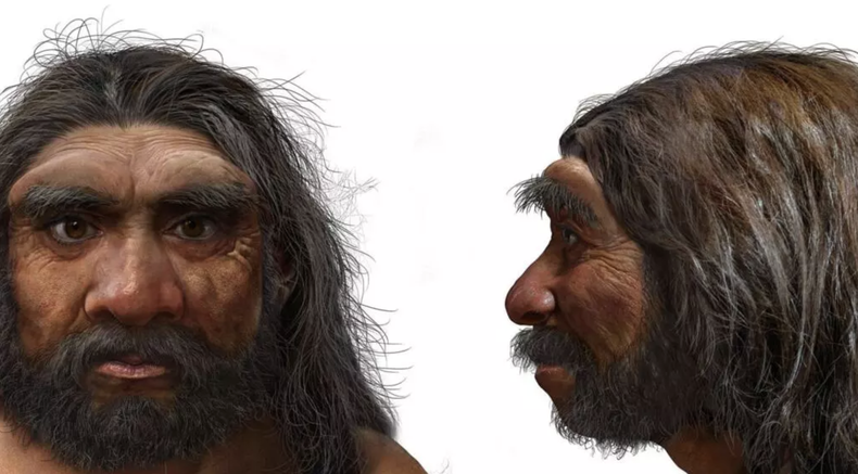 Los investigadores creen que el cráneo reconstruido, de un millón de años de antigüedad, podría ayudar a resolver misterios que llevan mucho tiempo sin resolverse.