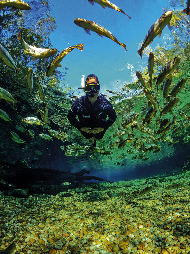 La transparencia del agua en Bonito es producto de la filtración natural a través de suelos ricos en piedra caliza.