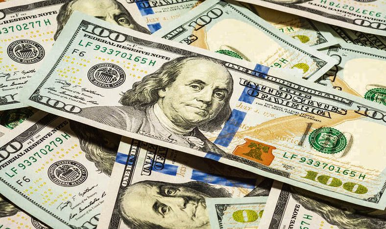 La baja cotización del dólar afecta la competitividad del sector exportador. Foto: Agro de Búsqueda