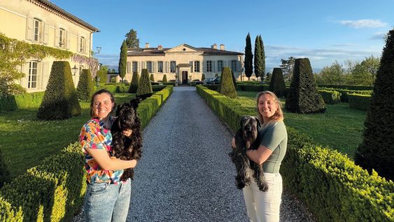 viajar haciendo pet sitting: la vida de perros que todos quieren