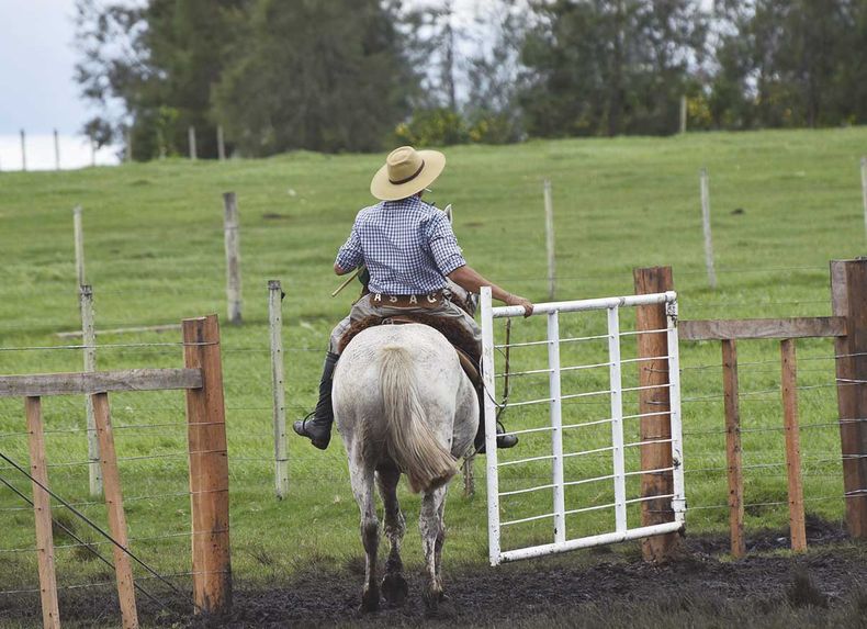 En cuatro décadas los trabajadores permanentes rurales bajaron de casi 160.000 a 109.970, lo que representa unos 50.000 menos y una caída de 31%.