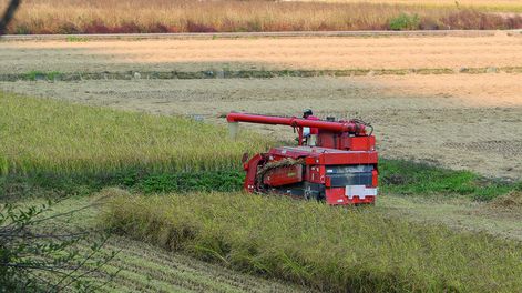 El gasoil es la fuente energética más usada; representa el 66% del consumo total agropecuario.