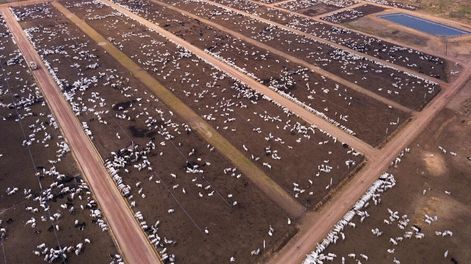 La oferta de carne exportable de Brasil aumentó por una fuerte caída del consumo interno luego de la pandemia. Foto: Agro Búsqueda