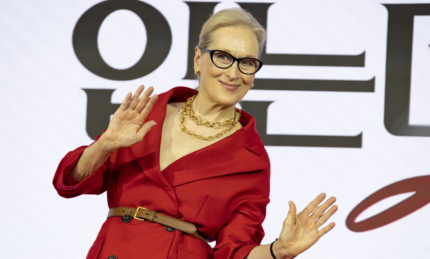 Este año Meryl Streep protagonizó El diablo viste a la moda 2 y tiene confirmada la interpretación principal en una biopic sobre la cantautora canadiense Joni Mitchell.