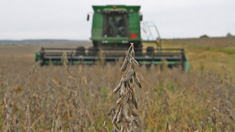 La mala cosecha de granos por la escasez hídrica está impactando en las exportaciones. Foto: Nicolás Der Agopian / Búsqueda