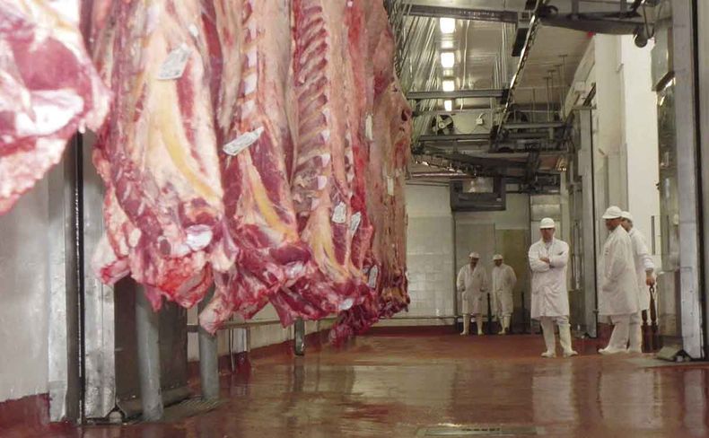 China, el principal mercado, está comprando menos carne uruguaya