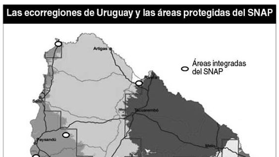 imagen de Los lugares prioritarios para la conservación abarcan el 12% del territorio uruguayo, pero las áreas protegidas cubren menos del 1% imagen de Los lugares prioritarios para la conservación abarcan el 12% del territorio uruguayo, pero las áreas protegidas cubren menos del 1%